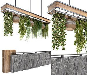 Restaurant counter with hanging plants model