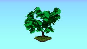 Acacia tree 3D