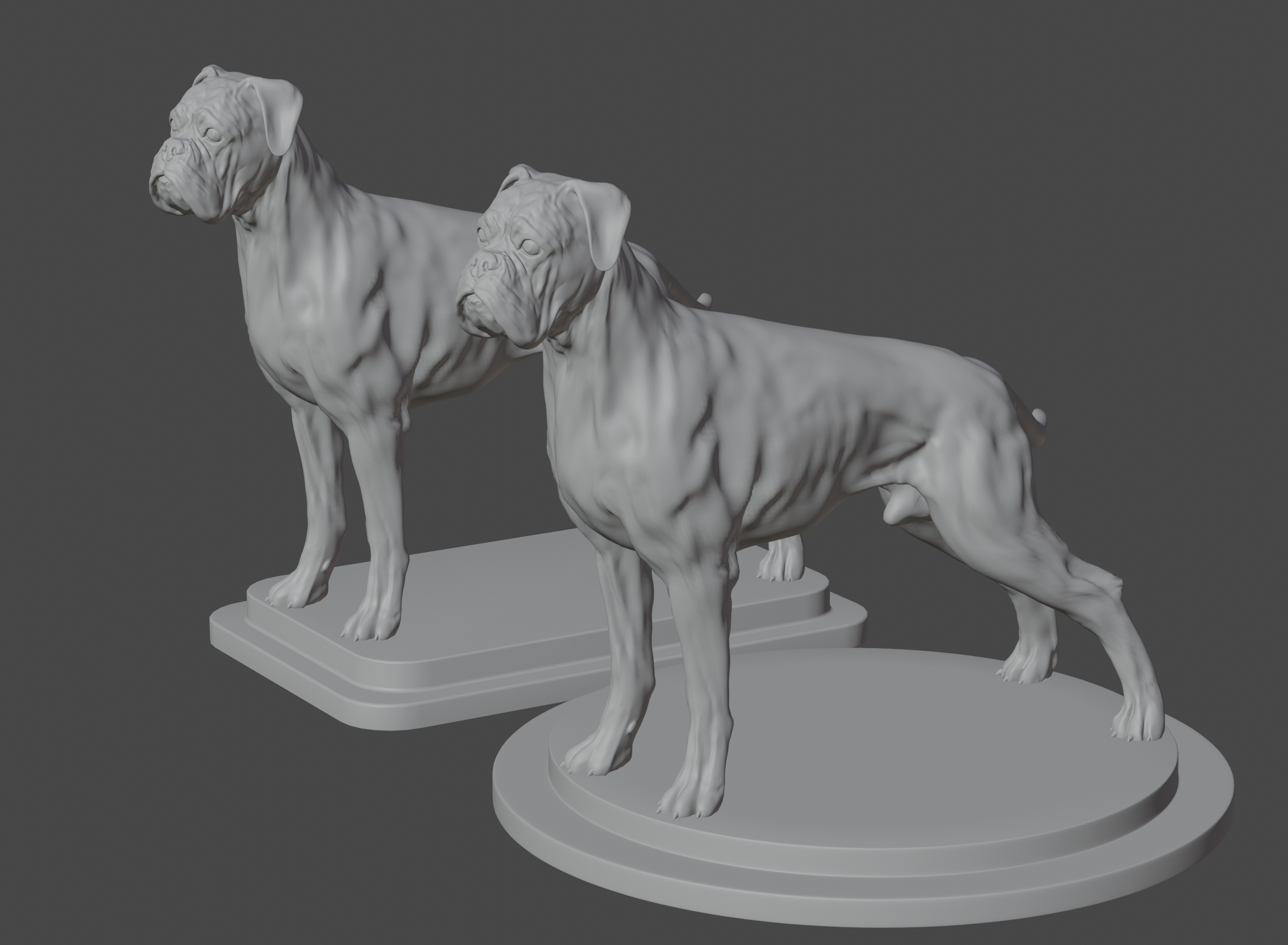 Boxer dog 3D TurboSquid 1703831