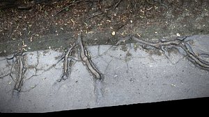 3D asphalt destroyed road tree roots part8 photogrammetry