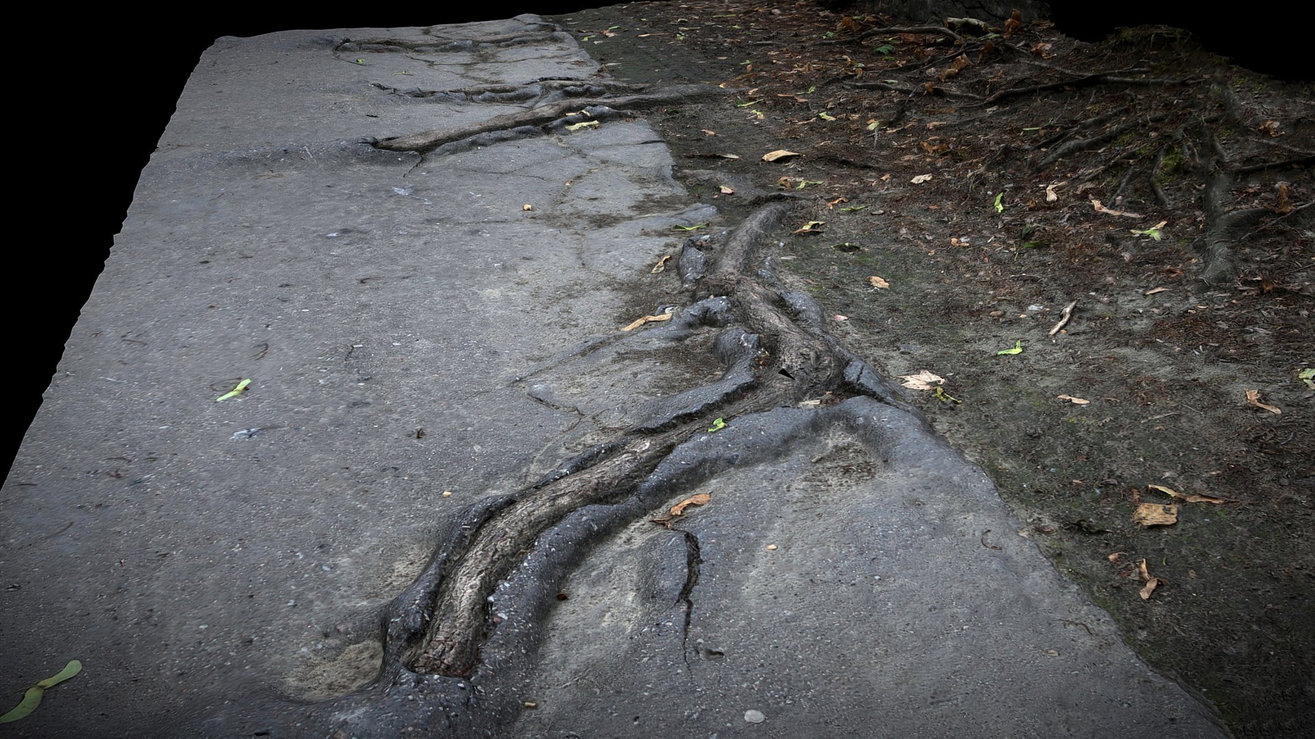 3D Asphalt Destroyed Road Tree Roots Part8 Photogrammetry - TurboSquid ...