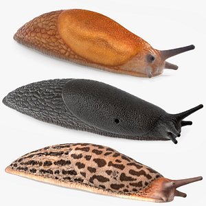 Slugs Rigged for Maya Collection