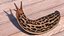 Slugs Rigged for Maya Collection