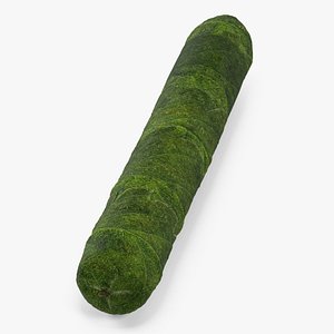 Cannabis Cigar