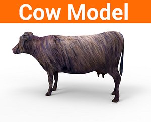 3D model cow cattle