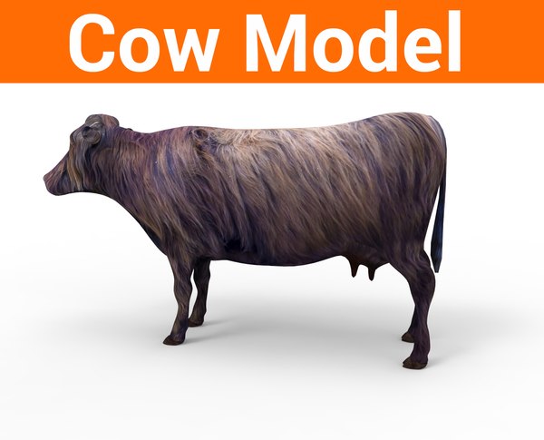 cow.618.jpg