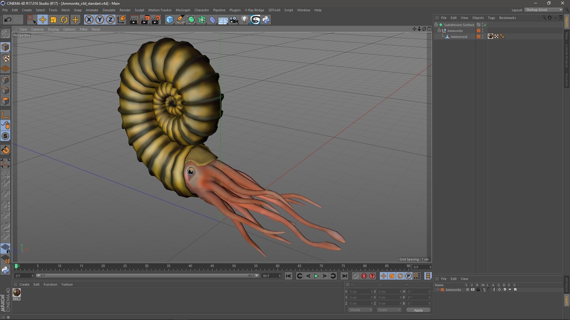 Ammonite 3D model https://p.turbosquid.com/ts-thumb/5n/2KItys/0I/ammonite3dmodel024/jpg/1709940841/1920x1080/fit_q87/7c3a0aac8722f828d8d2b85392848b2d02cc8455/ammonite3dmodel024.jpg