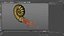 Ammonite