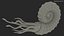 Ammonite