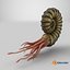 Ammonite