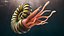 Ammonite
