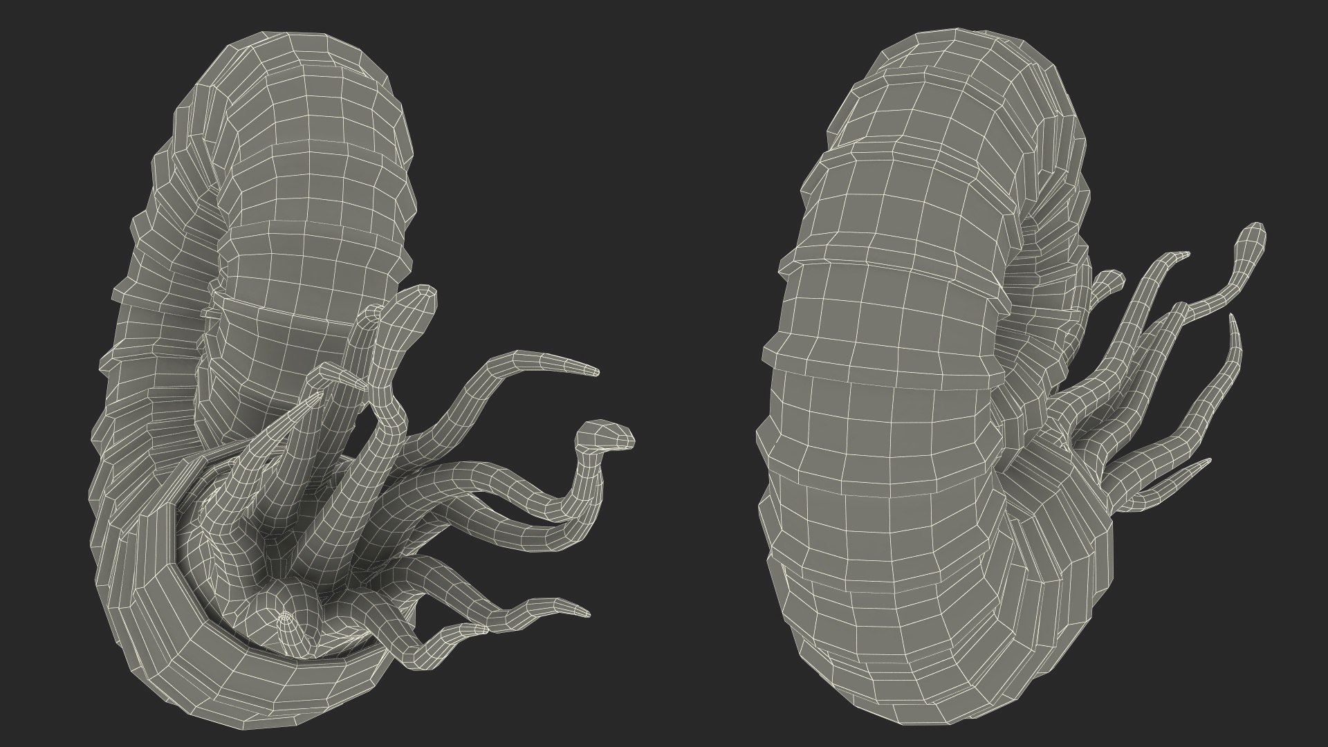 Ammonite 3D model https://p.turbosquid.com/ts-thumb/5n/2KItys/BB/ammonite3dmodel027/jpg/1709940854/1920x1080/fit_q87/4be726529b8ae52e28a195eb7b2421a4301c2ec8/ammonite3dmodel027.jpg