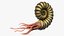 Ammonite