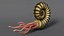 Ammonite