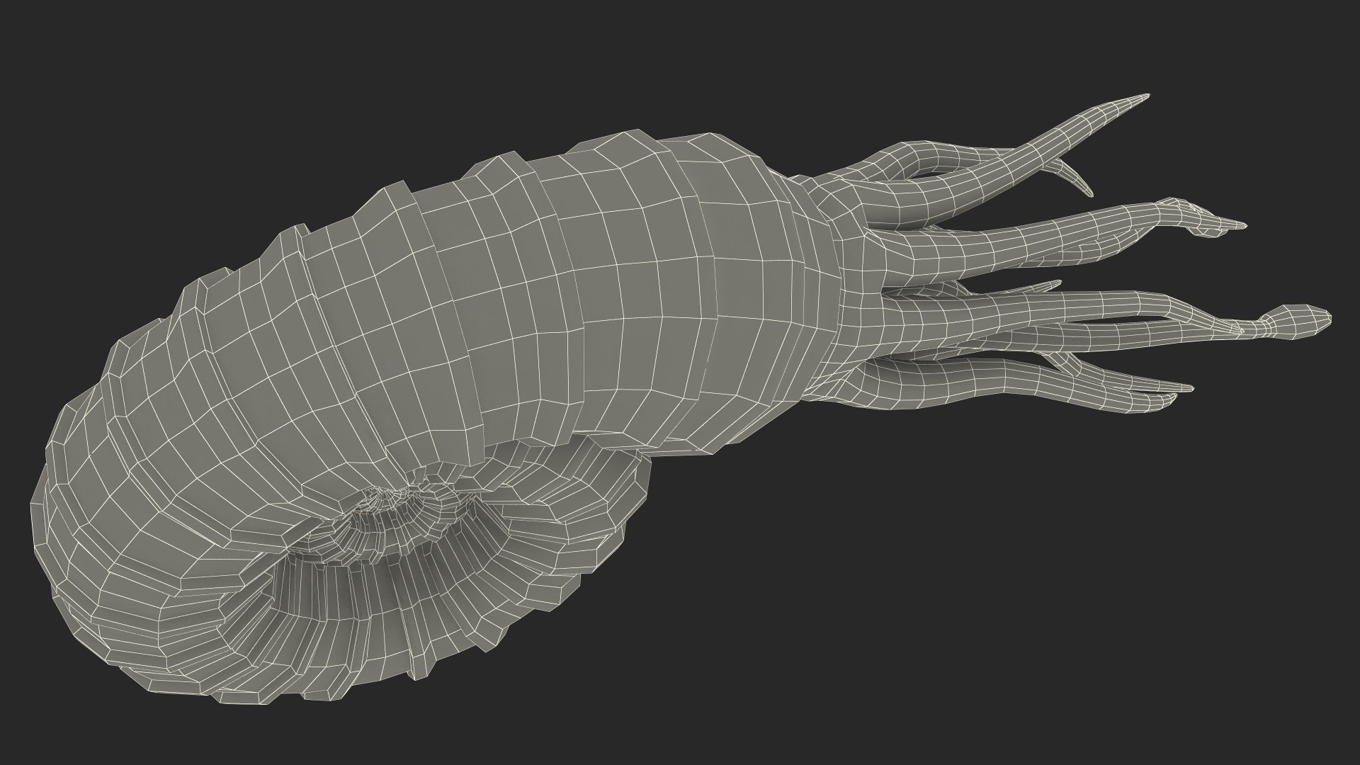 Ammonite 3D model https://p.turbosquid.com/ts-thumb/5n/2KItys/j7/ammonite3dmodel029/jpg/1709940863/1920x1080/fit_q87/0be6ef43909487dedf8960f4a25e00b1a0cd26c3/ammonite3dmodel029.jpg