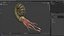 Ammonite