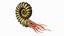 Ammonite