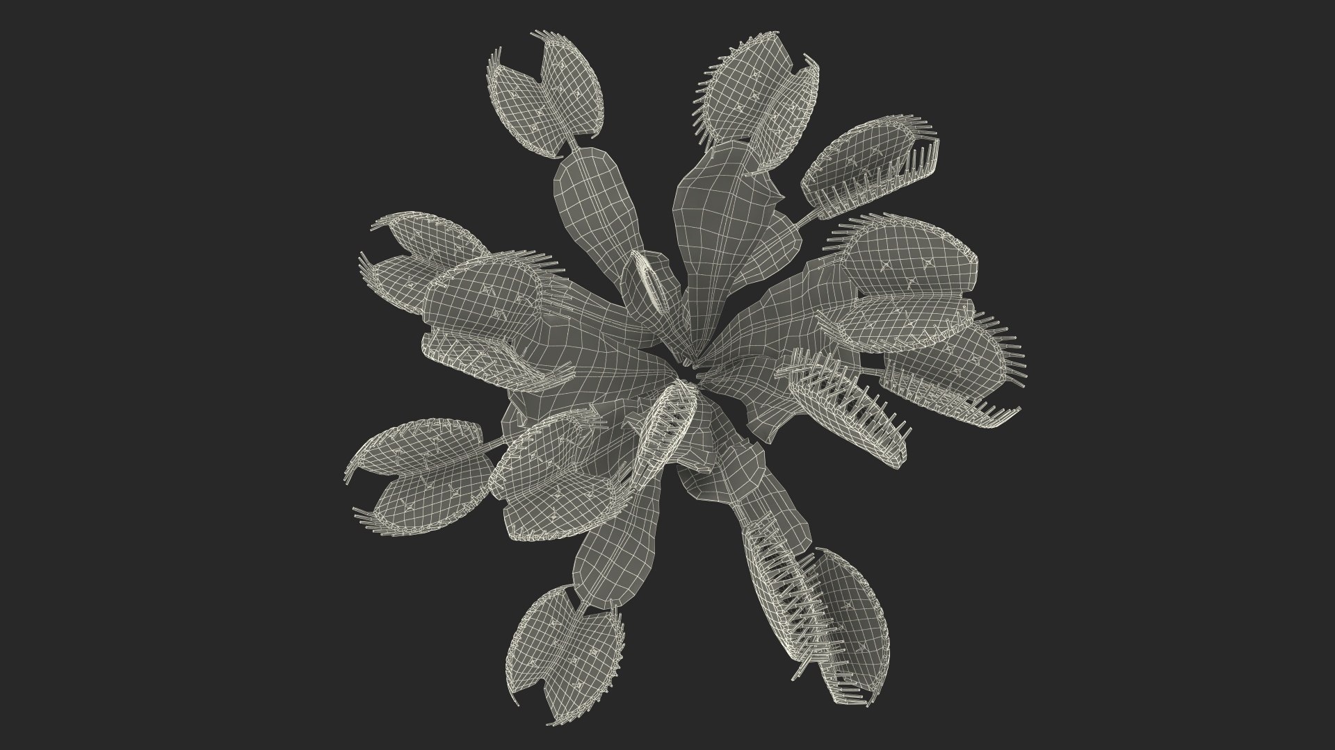 Red Dragon Venus Flytrap 3D model https://p.turbosquid.com/ts-thumb/5n/6FWEZ0/2l/reddragonvenusflytrapmb3dmodel022/jpg/1717172671/1920x1080/fit_q87/77fb4aef7cfe04ddb869ef8a72de7257ff96aecd/reddragonvenusflytrapmb3dmodel022.jpg