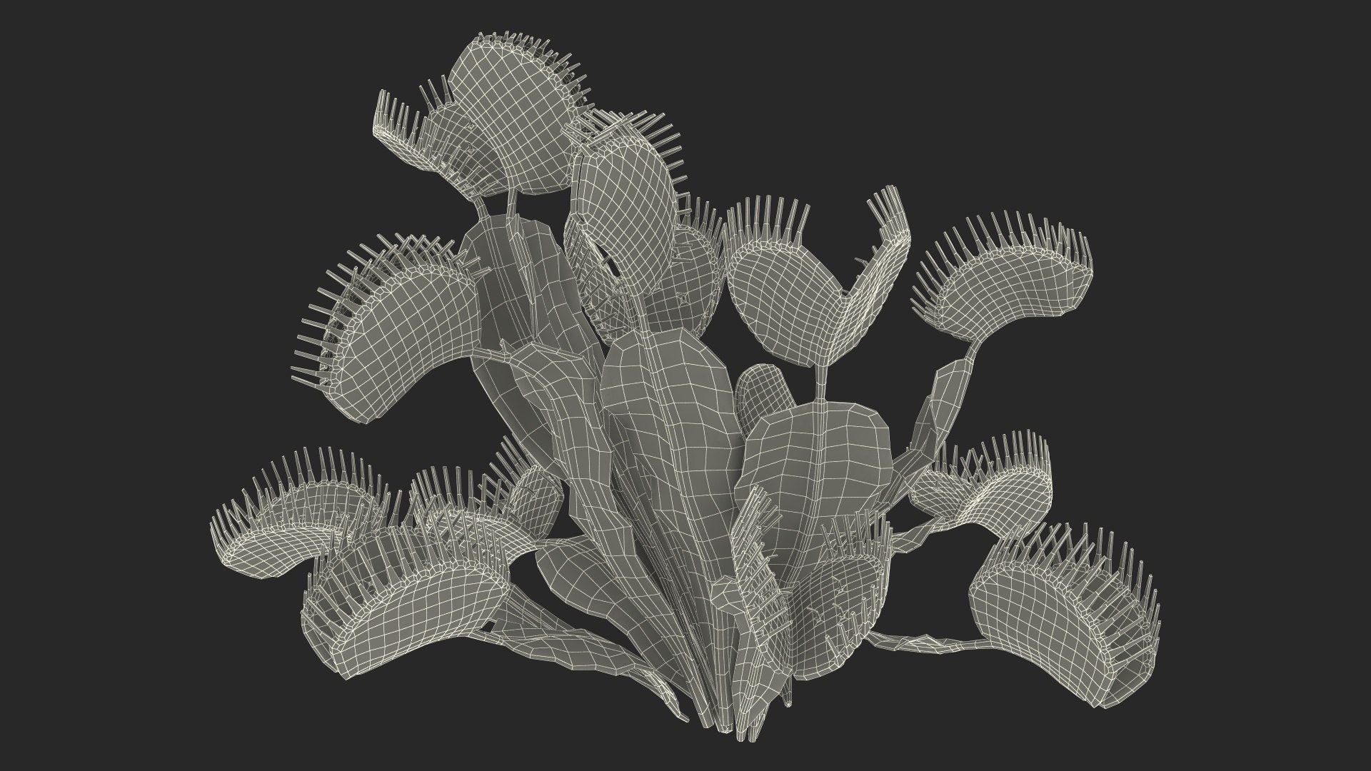 Red Dragon Venus Flytrap 3D model https://p.turbosquid.com/ts-thumb/5n/6FWEZ0/3e/reddragonvenusflytrapmb3dmodel021/jpg/1717172667/1920x1080/fit_q87/f3c9bd7bfbdd0593f93cdcb332abcd40d4836ce2/reddragonvenusflytrapmb3dmodel021.jpg