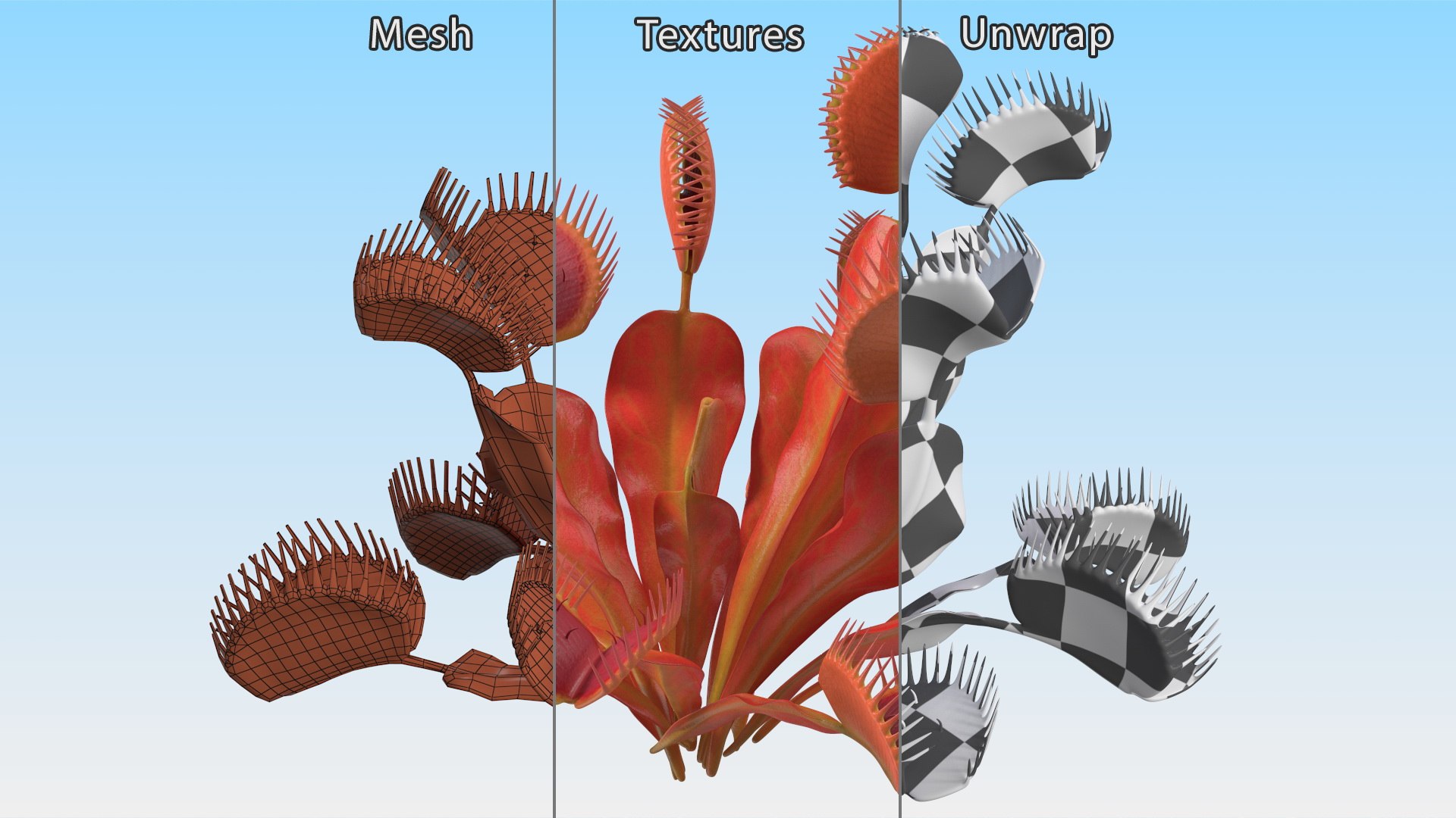 Red Dragon Venus Flytrap 3D model https://p.turbosquid.com/ts-thumb/5n/6FWEZ0/At/reddragonvenusflytrapmb3dmodel011/jpg/1717172629/1920x1080/fit_q87/425fafc96e0b7f7cd579484226fe37daca085cc5/reddragonvenusflytrapmb3dmodel011.jpg