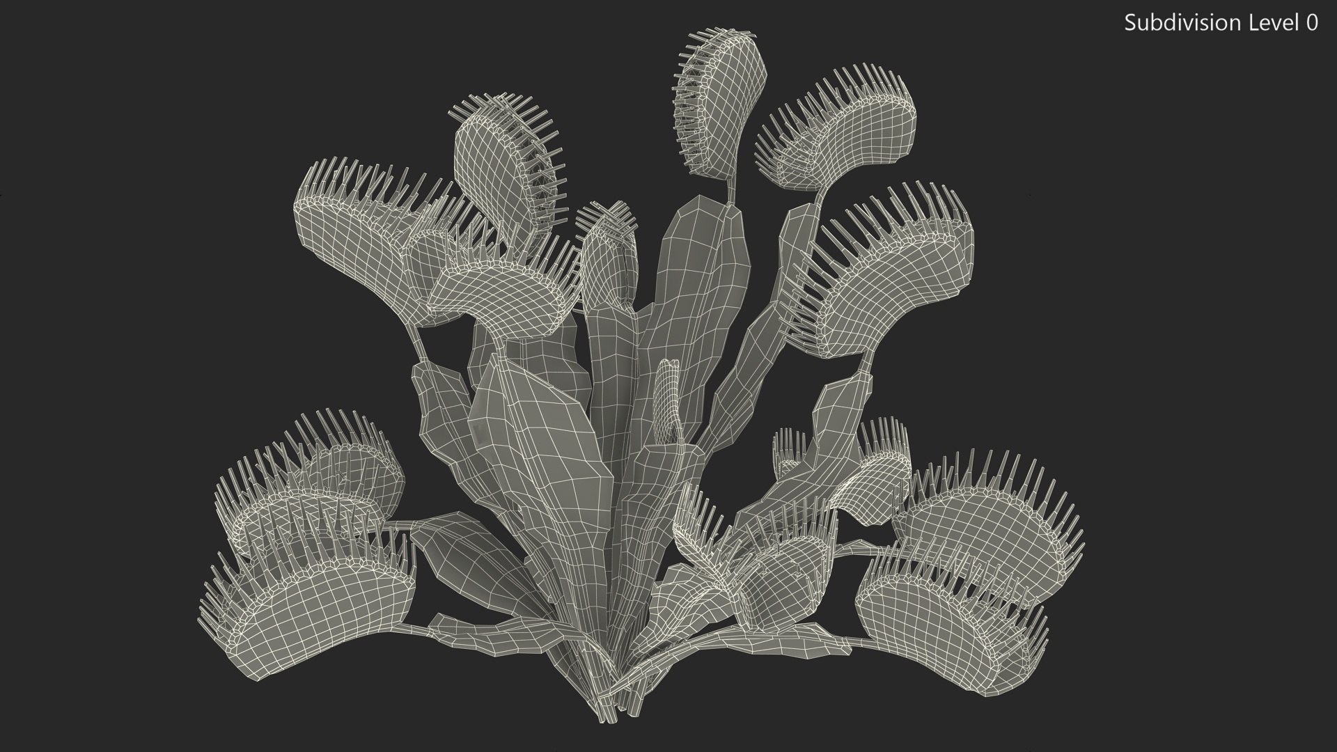 Red Dragon Venus Flytrap 3D model https://p.turbosquid.com/ts-thumb/5n/6FWEZ0/Jf/reddragonvenusflytrapmb3dmodel012/jpg/1717172632/1920x1080/fit_q87/c4e482b2c8394adff54f7ea95e545d996b7e7aaf/reddragonvenusflytrapmb3dmodel012.jpg