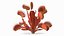 Red Dragon Venus Flytrap