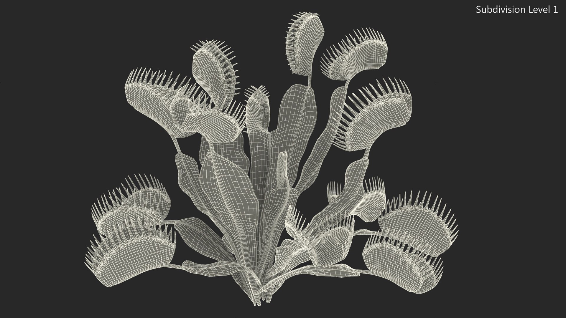 Red Dragon Venus Flytrap 3D model https://p.turbosquid.com/ts-thumb/5n/6FWEZ0/af/reddragonvenusflytrapmb3dmodel013/jpg/1717172635/1920x1080/fit_q87/71e80d74eb4a093950ecbe1442f76294c101a8a7/reddragonvenusflytrapmb3dmodel013.jpg