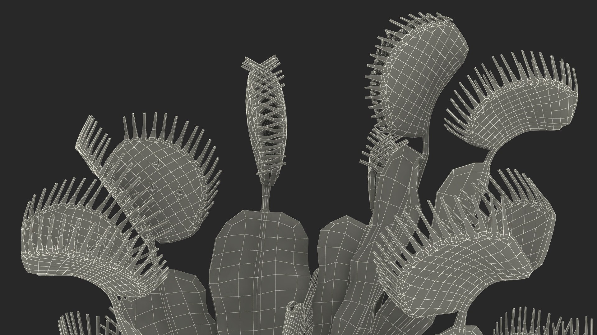 Red Dragon Venus Flytrap 3D model https://p.turbosquid.com/ts-thumb/5n/6FWEZ0/oI/reddragonvenusflytrapmb3dmodel024/jpg/1717172678/1920x1080/fit_q87/07fef986929389632c1a9ab524a66d2163d14362/reddragonvenusflytrapmb3dmodel024.jpg