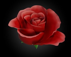 3d model animation rose flower petal