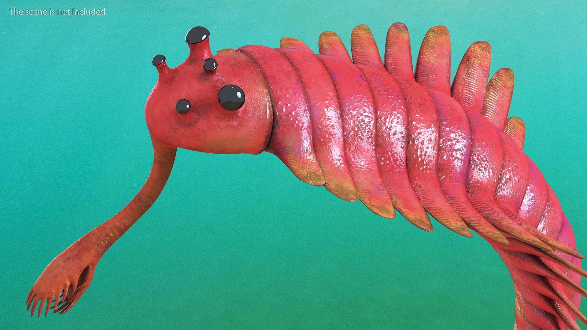 Pink Opabinia Flip 3D model https://p.turbosquid.com/ts-thumb/5n/DpVIta/8W/pinkopabiniaflipc4dmodel007/jpg/1705599857/1920x1080/fit_q87/19e7589cc6e0e4533793e58776319ad3927af446/pinkopabiniaflipc4dmodel007.jpg