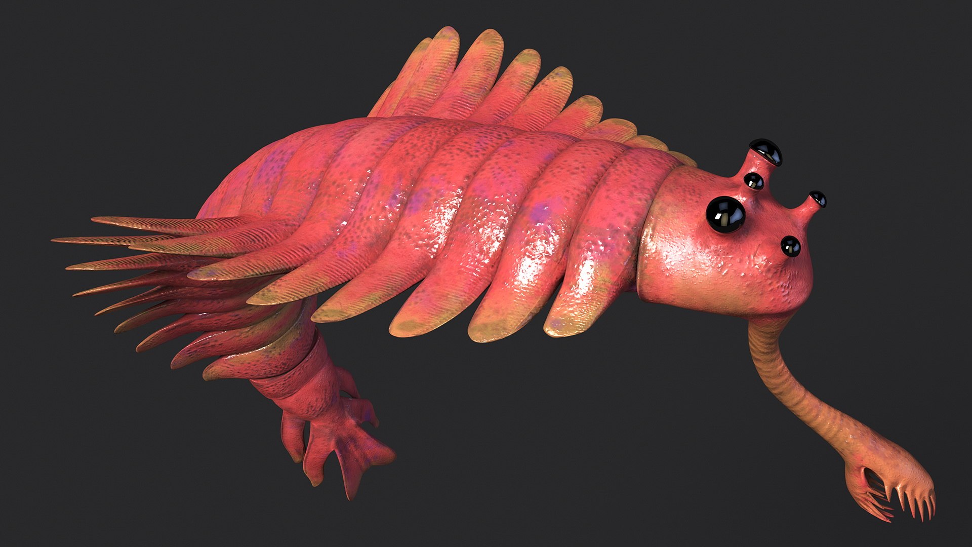Pink Opabinia Flip 3D model https://p.turbosquid.com/ts-thumb/5n/DpVIta/9C/pinkopabiniaflipc4dmodel008/jpg/1705599862/1920x1080/fit_q87/35d06cd63b846bf79a27fd4efe1da7ae17e7812c/pinkopabiniaflipc4dmodel008.jpg