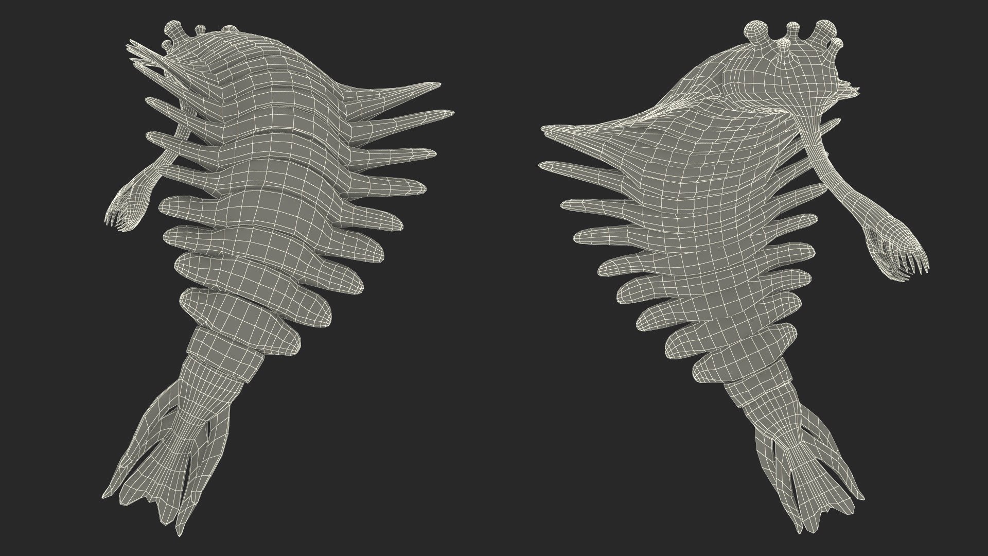 Pink Opabinia Flip 3D model https://p.turbosquid.com/ts-thumb/5n/DpVIta/Gq/pinkopabiniaflipc4dmodel029/jpg/1705599952/1920x1080/fit_q87/bd319c9fe2bef639b6b5246fd1f7e02c58d4b503/pinkopabiniaflipc4dmodel029.jpg