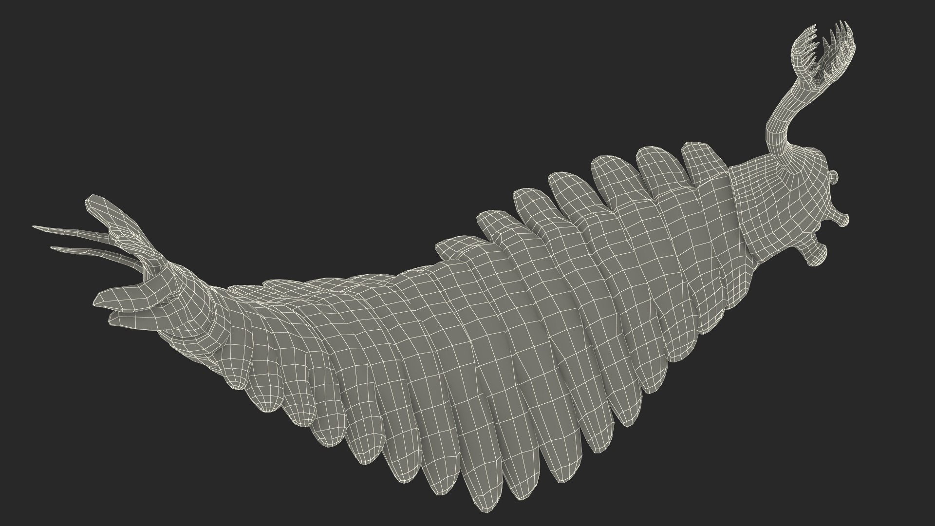 Pink Opabinia Flip 3D model https://p.turbosquid.com/ts-thumb/5n/DpVIta/Ss/pinkopabiniaflipc4dmodel032/jpg/1705599965/1920x1080/fit_q87/54c9714d7dc6e6244bb35364a4844b338484823b/pinkopabiniaflipc4dmodel032.jpg