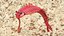 Flip Opabinia rosa