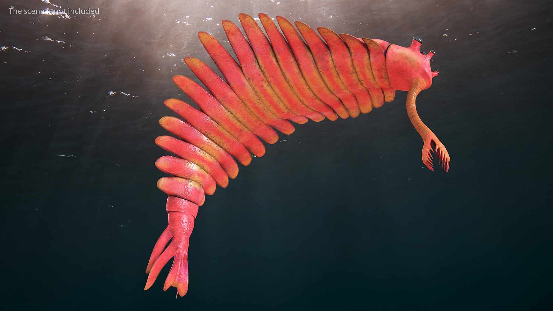 Pink Opabinia Flip 3D model https://p.turbosquid.com/ts-thumb/5n/DpVIta/bo/pinkopabiniaflipc4dmodel004/jpg/1705599845/1920x1080/fit_q87/828c79450623965c106e8890a318c854c830ec0a/pinkopabiniaflipc4dmodel004.jpg
