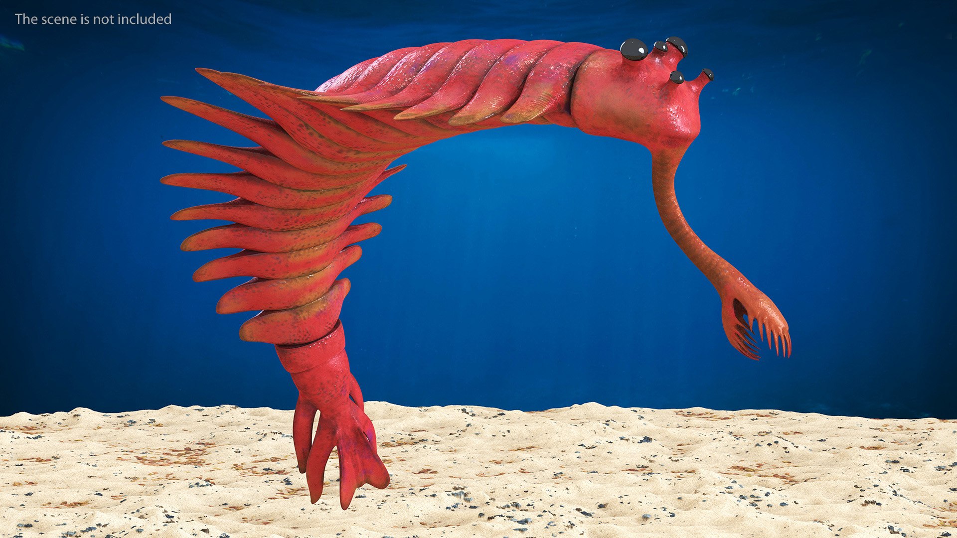 Pink Opabinia Flip 3D model https://p.turbosquid.com/ts-thumb/5n/DpVIta/c7/pinkopabiniaflipc4dmodel003/jpg/1705599839/1920x1080/fit_q87/67b84d8498ca4628bd63810f7e8ae10f5f42e738/pinkopabiniaflipc4dmodel003.jpg
