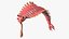 Flip Opabinia rosa