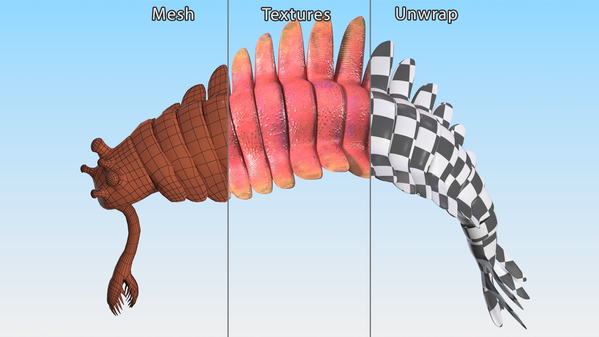 Pink Opabinia Flip 3D model https://p.turbosquid.com/ts-thumb/5n/DpVIta/dv/pinkopabiniaflipc4dmodel019/jpg/1705599908/1920x1080/fit_q87/524d0e2bac1e9b4e61c48c1f5fe3cc94c39b292c/pinkopabiniaflipc4dmodel019.jpg