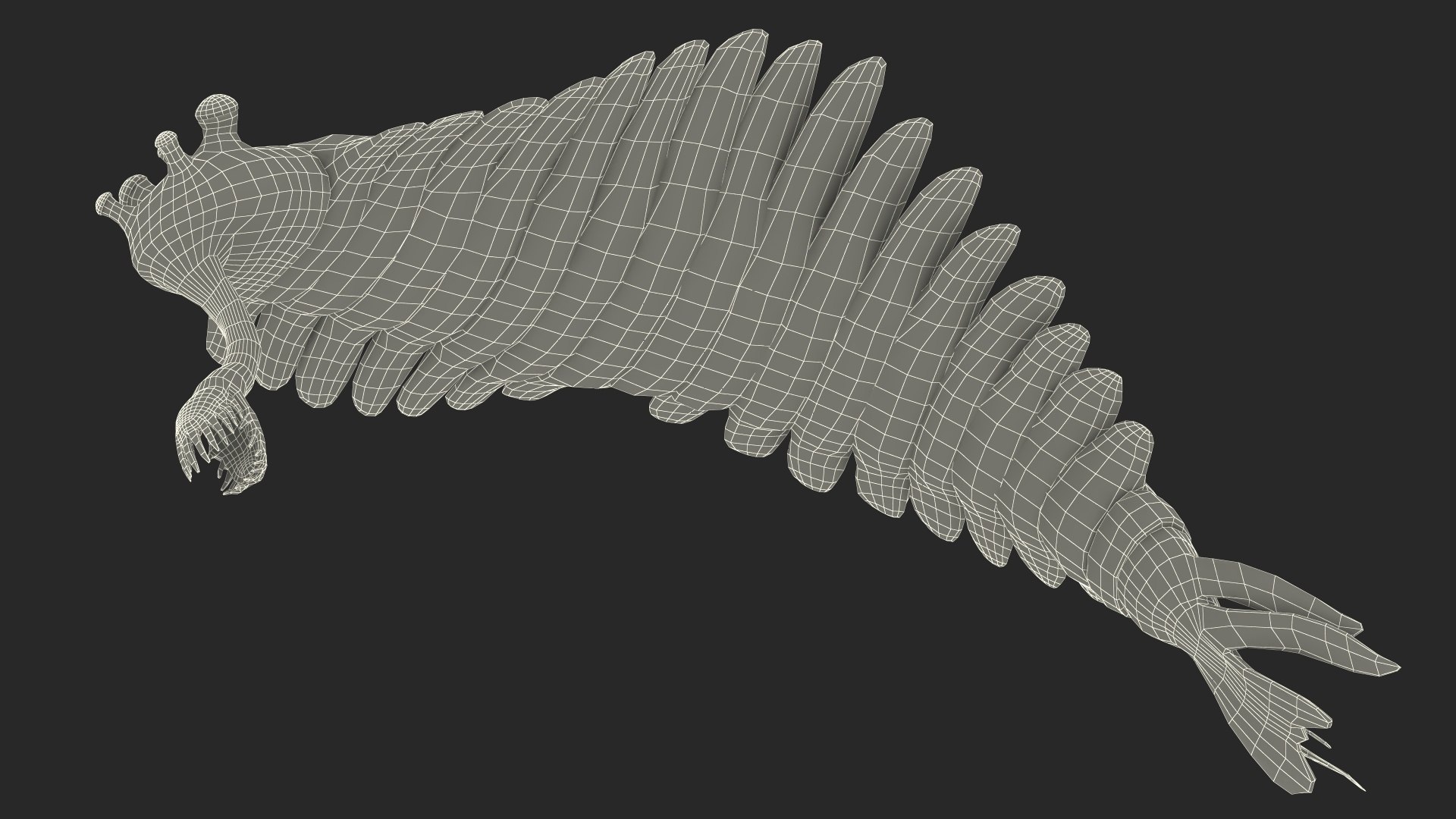 Pink Opabinia Flip 3D model https://p.turbosquid.com/ts-thumb/5n/DpVIta/g2/pinkopabiniaflipc4dmodel031/jpg/1705599960/1920x1080/fit_q87/e35ded1b1e894f47578697e70aa93977533e2a76/pinkopabiniaflipc4dmodel031.jpg