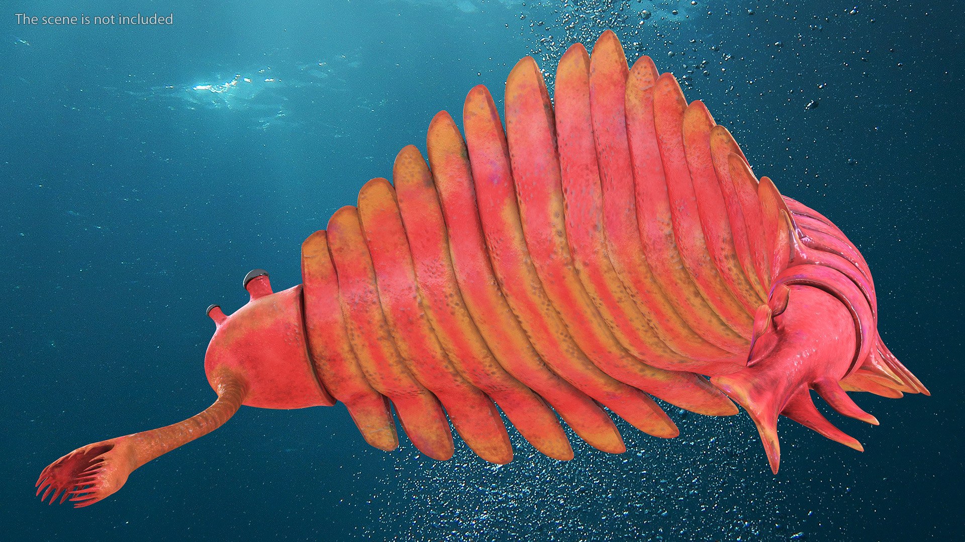 Pink Opabinia Flip 3D model https://p.turbosquid.com/ts-thumb/5n/DpVIta/ol/pinkopabiniaflipc4dmodel006/jpg/1705599854/1920x1080/fit_q87/da22fa1d2d9a831ea622b22bc46de10f05c7aa02/pinkopabiniaflipc4dmodel006.jpg