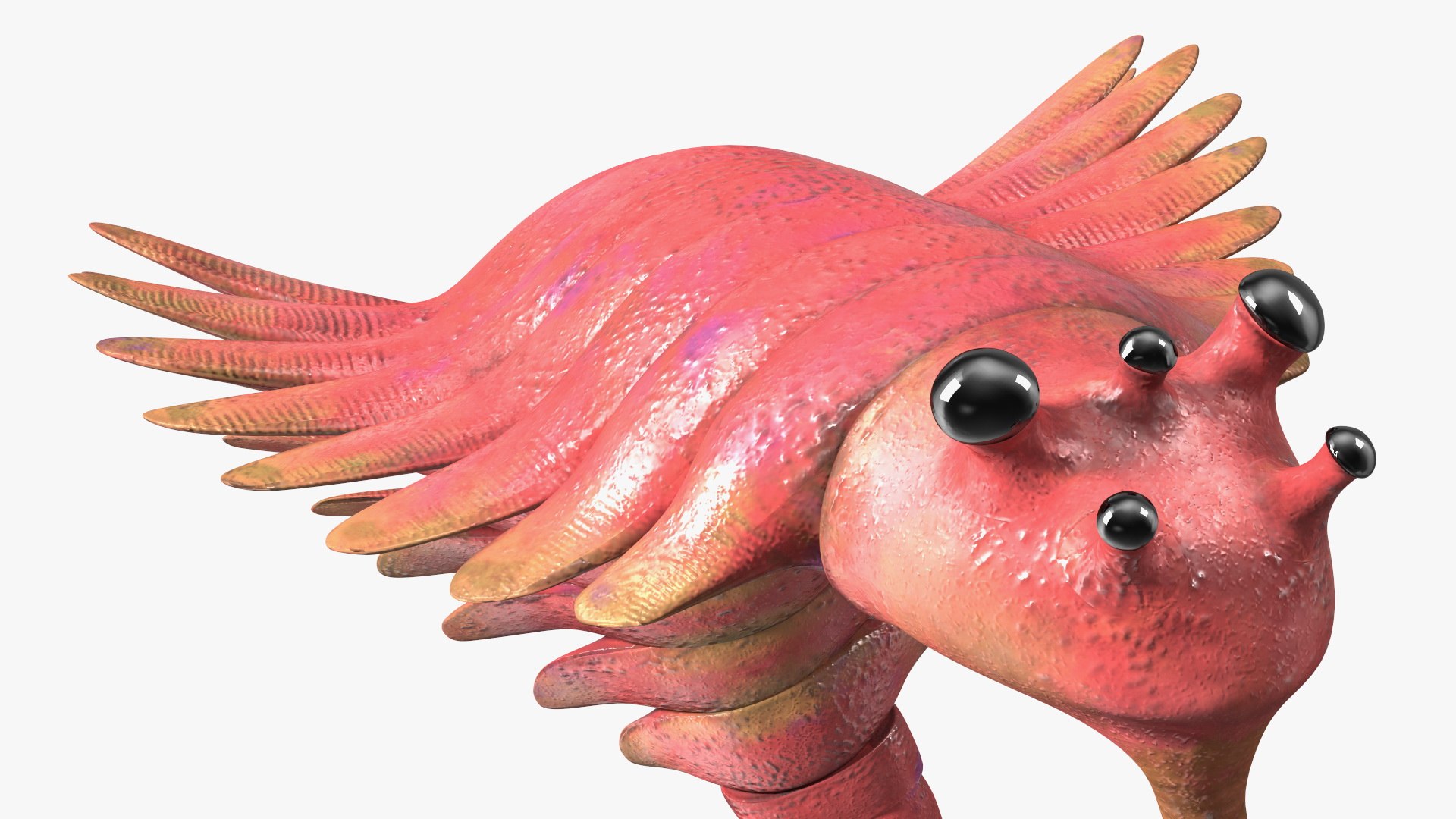 Pink Opabinia Flip 3D model https://p.turbosquid.com/ts-thumb/5n/DpVIta/r3/pinkopabiniaflipc4dmodel017/jpg/1705599898/1920x1080/fit_q87/c7e35e2ca944197653cee37ff9b4bea3e1c8d6e4/pinkopabiniaflipc4dmodel017.jpg