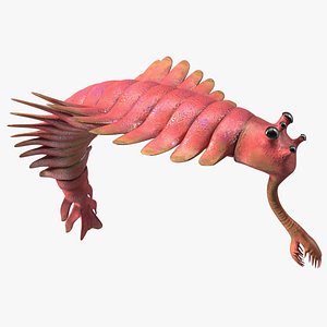 Pink Opabinia Flip