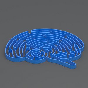 blue brain maze 3D model
