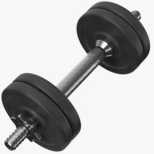 3D model dumb bells dumbbells