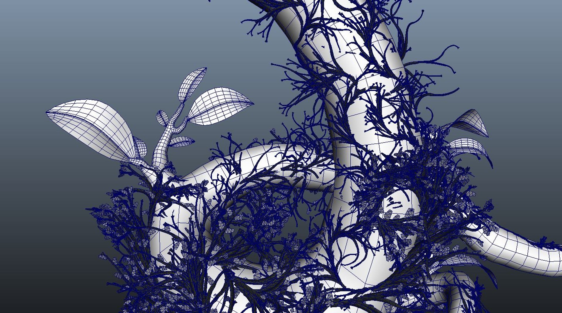 3d model whimsical fantasy tree leaves https://p.turbosquid.com/ts-thumb/5n/RObuLa/AQGODev6/wireframe_2/jpg/1447694219/1920x1080/fit_q87/b7ecc258b22c1f4ac98f668a8d8e31b65a2d3ced/wireframe_2.jpg