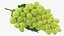 Grappolo d'uva verde