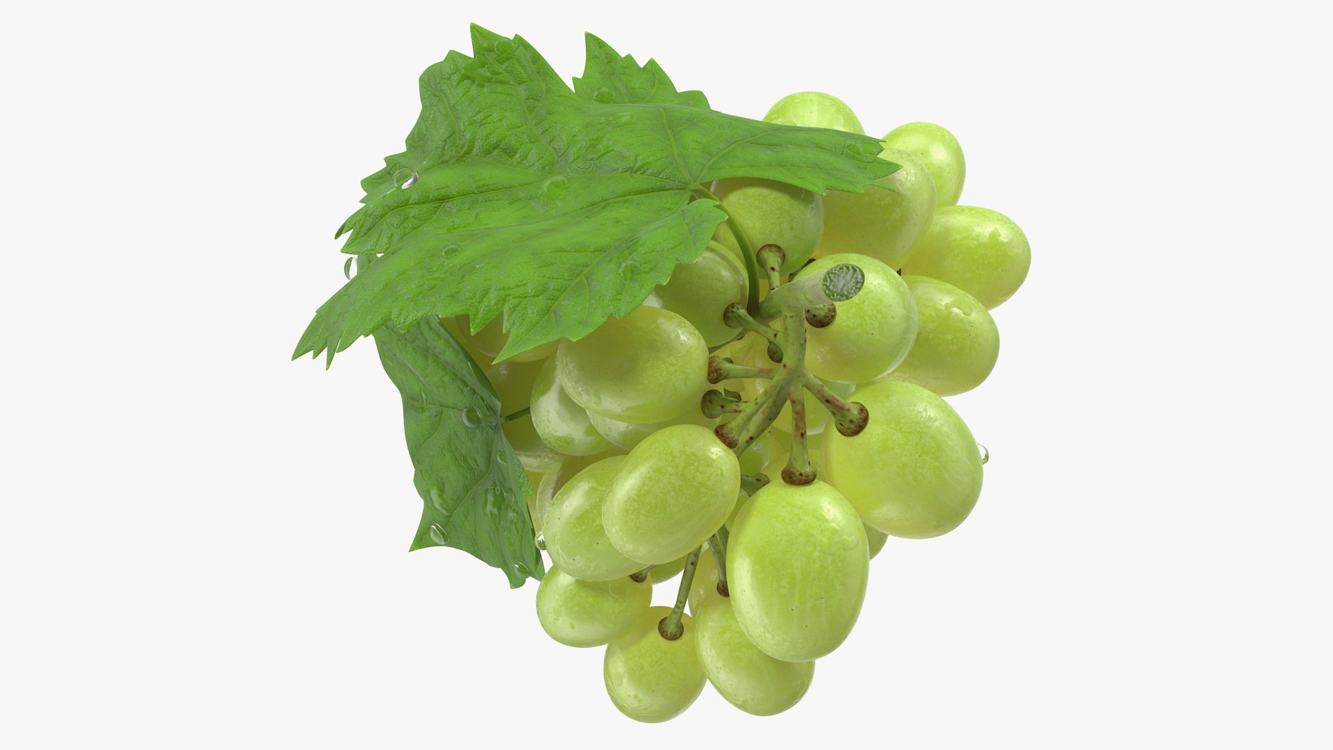bunch green grapes 3D https://p.turbosquid.com/ts-thumb/5n/WldcG4/JXaTY47i/bunchofgreengrapesvray3dmodel007/jpg/1580391854/1920x1080/fit_q87/bfd7c93f31c958237d68cd0ebe173b93cad0979a/bunchofgreengrapesvray3dmodel007.jpg
