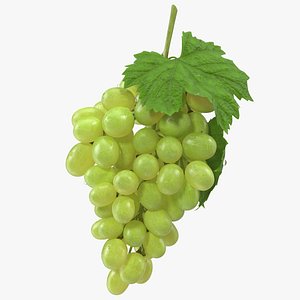 bunch green grapes 3D