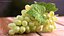 Grappolo d'uva verde