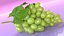 Grappolo d'uva verde
